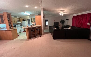 Additional View