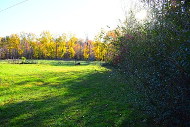 134 Mckeehan Ln, Rock Island, TN 38581 - photo 4