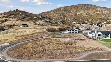 1636 N Cambridge Dr, Midway_Drone004