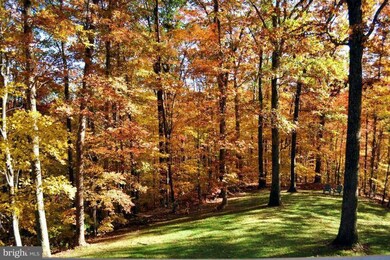 15538 Barrington Place, Dumfries, VA 22025 - photo 4