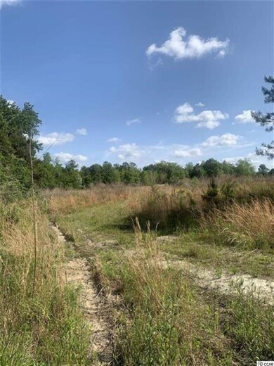 TBD E Highway 19 unit Lot B, Loris, SC 29569 - photo 4