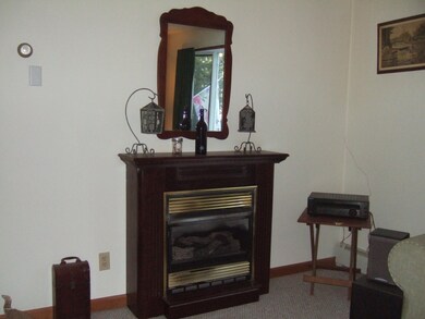 1123 Wallenpaupack Dr, Lake Ariel, PA 18436 - photo 5