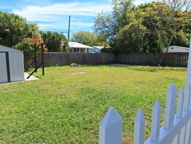 Back yard