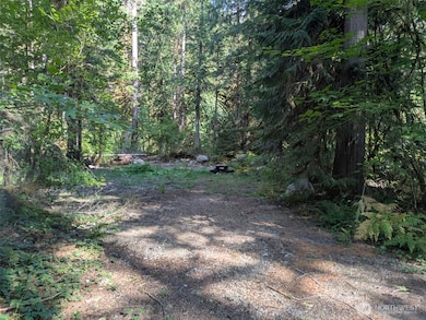 63783 W Cascade Dr unit D1-17, Marblemount, WA 98267 - photo 3