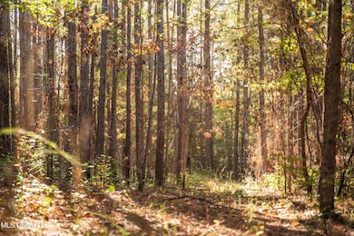 0 Lake View Golf Course Rd unit 4132339, Meridian, MS 39301 - photo 2