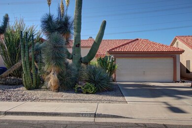 Fantastic front Privacy