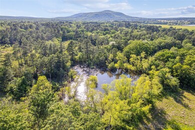 Bird's eye view of a heavily wooded area and a water and mountain view