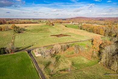 4610 Will Thompson Rd, Walling, TN 38587 - photo 4