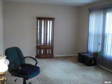 1109 Marion St, Carterville, IL 62918 - photo 6