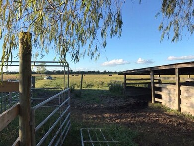 5910 County Road 392, Alvin, TX 77511 - photo 7