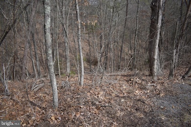 0 Nicklaus Dr unit VASH2007924, Basye, VA 22810 - photo 5