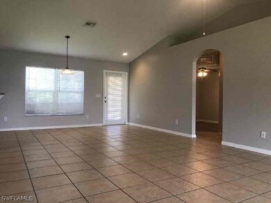 6003 Olive Ave N, Lehigh Acres, FL 33971 - photo 3