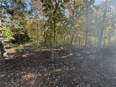 10 Talana Ln, Bella Vista, AR 72715 - photo 7