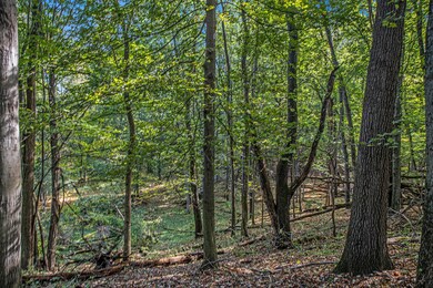 0 S Gull Lake Dr, South Gull Lake, MI 49083 - photo 5