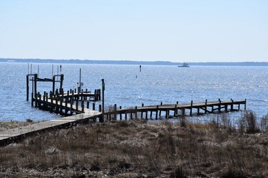 318 Pine Tree Path, Bath, NC 27808 - photo 3