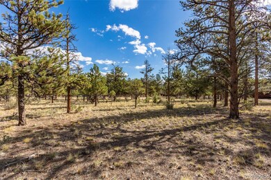 30664 Gray Jay Draw unit 27, Buena Vista, CO 81211 - photo 2