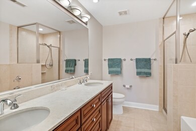 2300 Chestnut Ave unit 204, Glenview, IL 60026 - photo 4