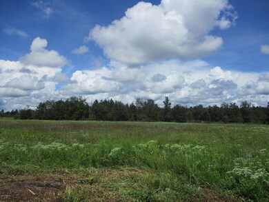 56161 Davis Rd, Callahan, FL 32011 - photo 5