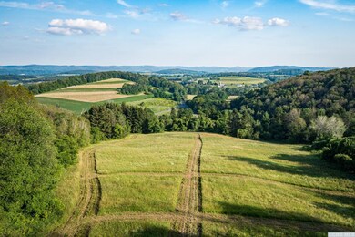 926 Old Route 22, Millerton, NY 12546 - photo 5