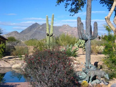 Views from the backyard/pool area