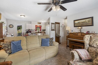 309 Frank St, Nixa, MO 65714 - photo 4