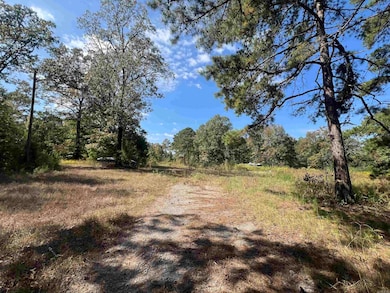 23709 Block Rd, Hensley, AR 72065 - photo 2