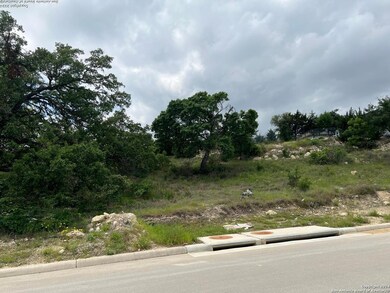 23403 Nina Ridge, San Antonio, TX 78255 - photo 5