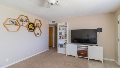 IMG_0775-2