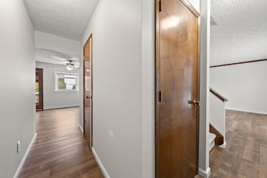 3-web-or-mls-DSC03807