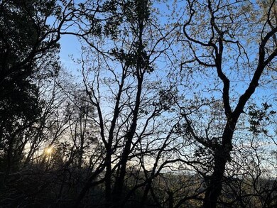 160 Acres Donkey Mine and Madison, Oak Run, CA 96069 - photo 5