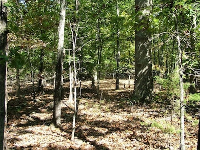 Tract A Rocky Ridge Rd, Mountain Home, AR 72653 - photo 4