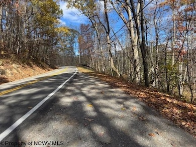 TBD Adolph Road (Rr), Mill Creek, WV 26280 - photo 3
