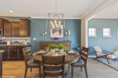 10335 Towle St, Dyer, IN 46311 - photo 7