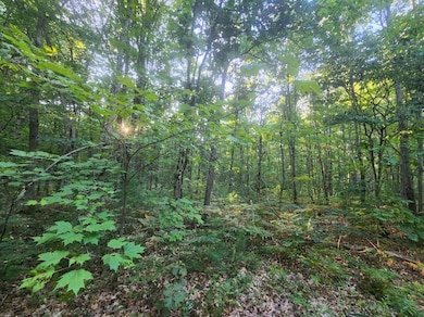 V/L Whitmire Rd, Cedar Creek Township, MI 49457 - photo 3