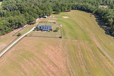 1690 Benton Store Rd, Columbia, AL 36319 - photo 2