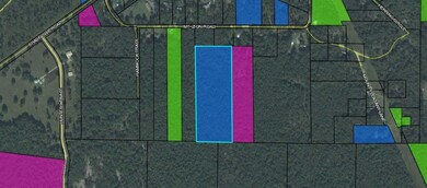 0 Mt Zion Rd Cir unit 295938, Crawfordville, FL 32327 - photo 3