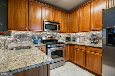 11302 Westbrook Mill Ln unit 304, Fairfax, VA 22030 - photo 3