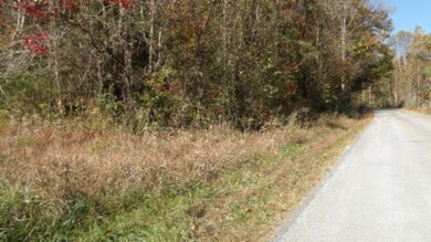 0 Moss Arcot Rd, Celina, TN 38551 - photo 7