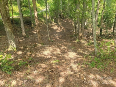 00 Bradford Park unit 10, Clyde, NC 28721 - photo 7