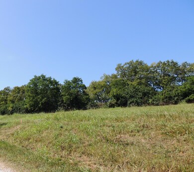 01 S Scruggs, Frankfort, KY 40601 - photo 3