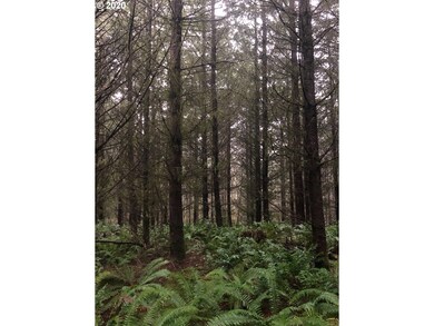 0 Gowan Rd unit 20115638, Rainier, OR 97048 - photo 2