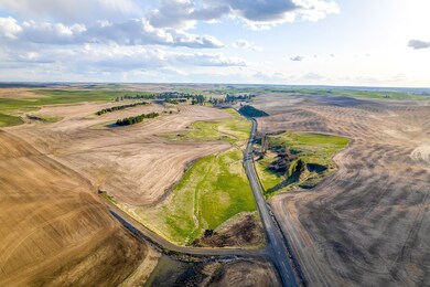 Lot 2 Nka Cheney Spangle Rd unit Parcel  32085.9041, Spangle, WA 99031 - photo 7