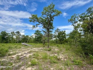 0 Baker Ave unit 774505, Alford, FL 32420 - photo 7