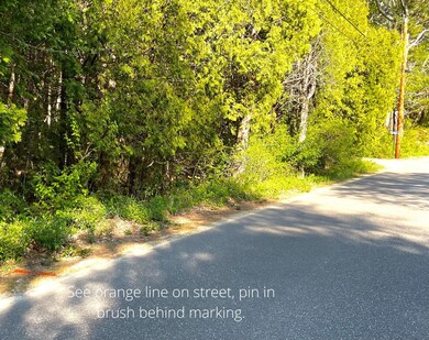 See orange line on street, pin in brush