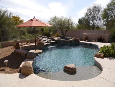 Backyard3