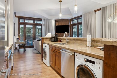 415 E Dean St Unit 3 Week 11, Aspen, CO 81611 - photo 6