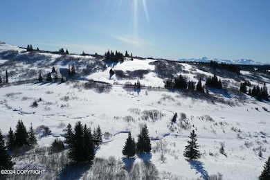 61245 Ohlson Mountain Rd, Homer, AK 99603 - photo 4