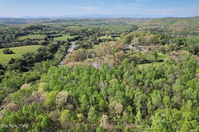 11-web-or-mls-DJI_0927