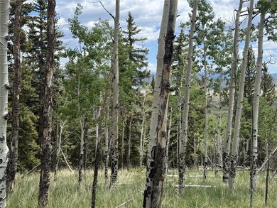 View of local wilderness