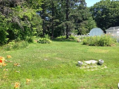 Yard/Garden.
